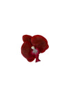 Pearl Orchid Hair Clip