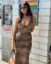 Leopard and Lace Dress